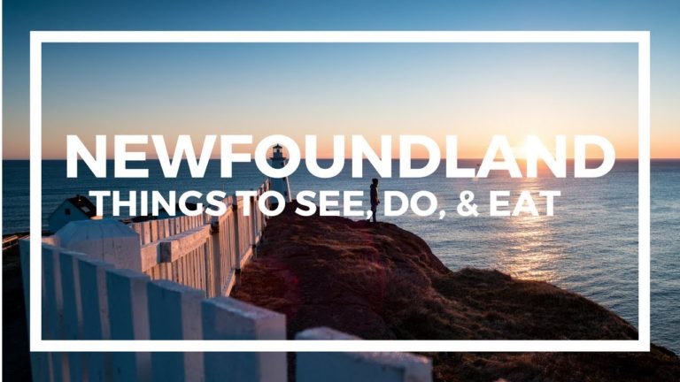 Newfoundland Travel Guide – Top Things To See, Do, & Eat